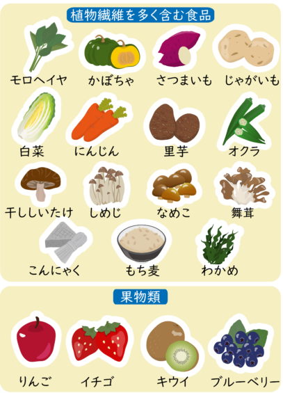 食物繊維が豊富